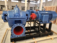 Pompe à eau centrifuge en métal à boîtier fendu horizontal à grand débit 110-10000m3/h pour eau de mer marine Longueur de câble personnalisable