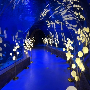 Chiaro vetro trasparente di grandi dimensioni tubo acrilico acquario acquario acquario acrilico acquario cilindrico per la vendita - Product Image 4