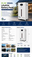 Batería LiFePO4 de 51.2V 350Ah 17.92kWh al por mayor, carga de 100A, salida de 125A, 3000 ciclos, BMS, almacenamiento solar para el hogar