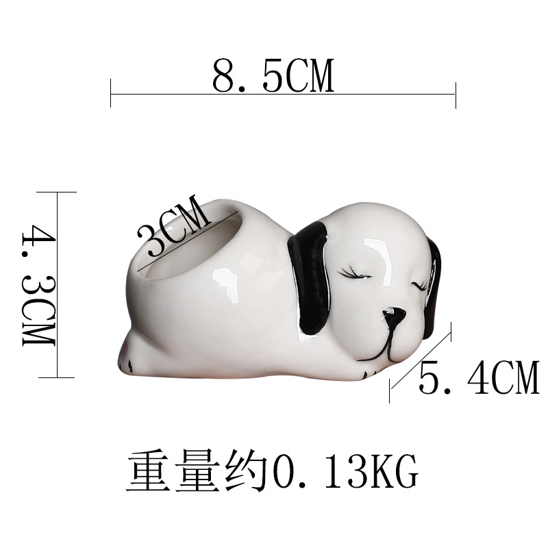 Petit chien décontracté blanc