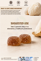 Gummies de soutien nutritionnel au champignon Lion's Mane, saveur fruitée, véganes, qualité supérieure, bien-être quotidien, fabrication OEM
