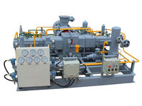 Compresseur haute pression 250bar Compresseur à piston alternatif Compresseur GNC Station de remplissage de gaz naturel