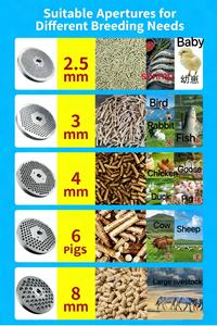 Alta produttività elettrico alimentazione animale Pellet che fa la macchina <span class=keywords><strong>nuova</strong></span> condizione 220v pellettizzatore di legno per il pollo mucca cavallo - Product Image 6