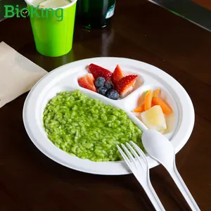 Bioking Sugarcane Bagasse 9inch Round Plate Pulp Biodegradable and Compostable Disposable plates for wedding