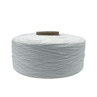 Dihong High Quality 100% Polyester Fancy Yarn 6N Big-Belly Yarn Eco-Friendly Recycled Professional for Knitting