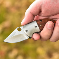 Mini couteau pliant de poche avec trou pour le pouce, manche en bois, acier inoxydable, pour usage quotidien, camping en plein air, collection cadeau