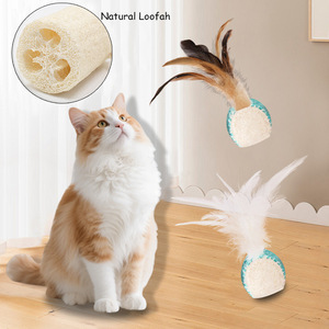 Juguete Natural de Luffa para Gatos con Plumas, Antiaburrimiento para Gatos, Juguete para Mascotas para Autoentretenimiento - Product Image 1