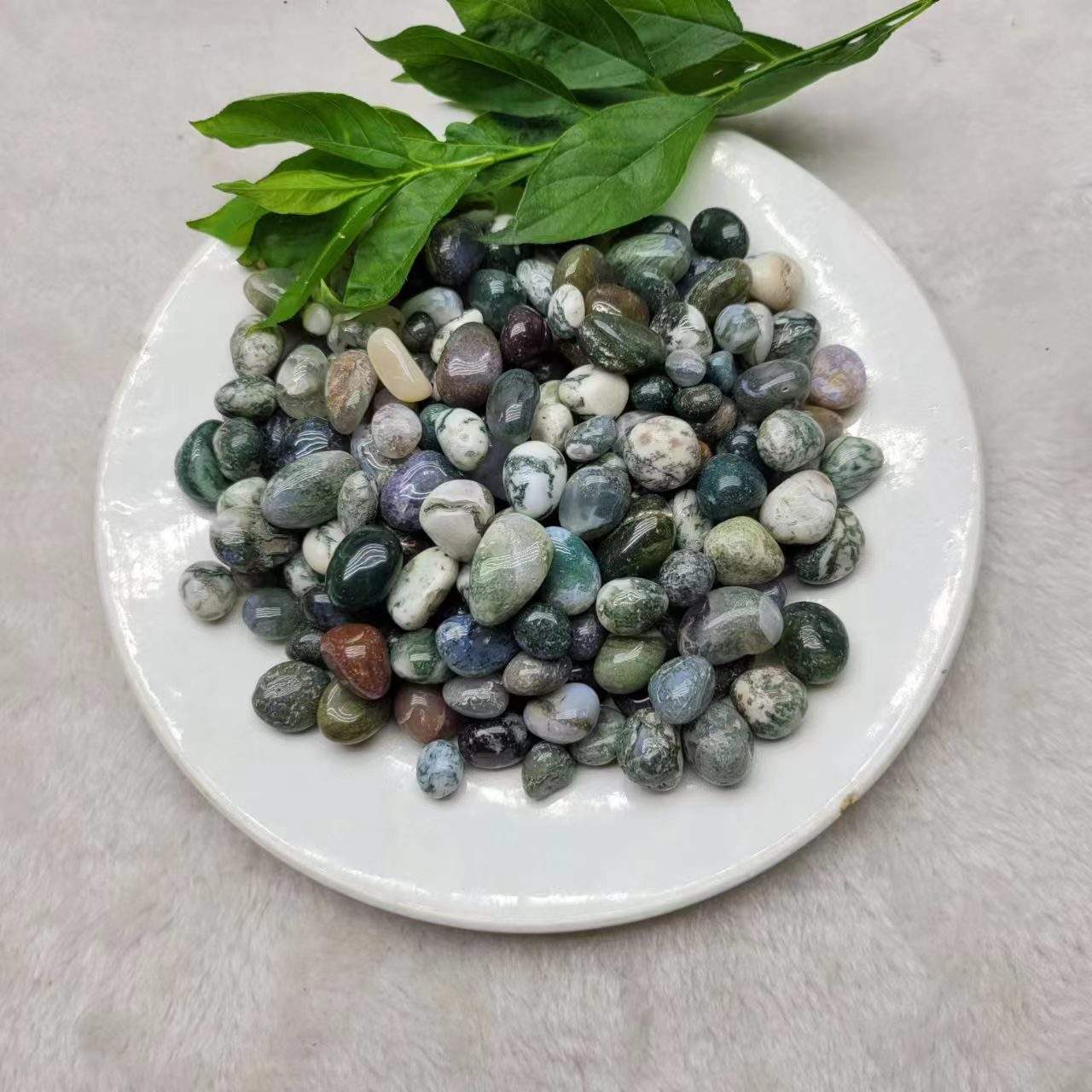 Pierre de plante aquatique