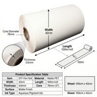 Rouleau de film de transfert thermique PET pour impression numérique DTF à encre blanche, pour le positionnement de strass sur vêtements, chaussures, sacs, pour usine