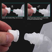 Sacs de bouteilles en plastique transparent à prix compétitif, emballage de boissons alcoolisées liquides de voyage, pochette de bec verseur