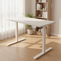 Bureau en acier réglable en hauteur électrique, bureau intelligent pour ordinateur, bureau de jeu, bureau d'étude à domicile, poste de travail