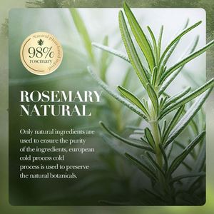 SADOER Champú Natural Anticaída del Cabello con Aminoácidos Orgánicos, Aceite Esencial de Romero y Aceite de Coco para Hombres y Mujeres - Product Image 4