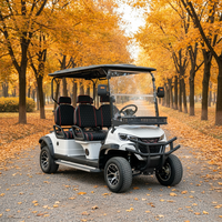 Voiturette de golf électrique personnalisée à bas prix, 4 places, homologuée pour la route, avec pare-brise pliable pour le terrain de golf
