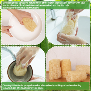 ฟองน้ำใยบวบธรรมชาติ 3 ชิ้น สำหรับขัดผิวกาย ขัดผิว ทำความสะอาดผิว ฟองน้ำนุ่มหลายขนาด - Product Image 4
