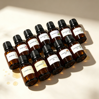 Grosir 10 Jenis Set Minyak Esensial Alami Murni Mawar Lavender Mint Melati Aromaterapi Diffuser Minyak Pijat OEM Label Pribadi