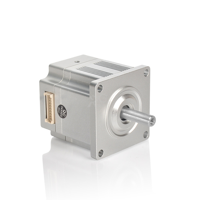 RGM4030 Brushless Servo Motor High Quality and High Stability 12-24V 2000RPM 5.3A 100W for Medical Equipment