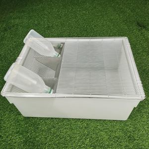 Gabbia Personalizzabile per Allevamento di Ratti, Contenitore in Plastica PP PC per Roditori da Laboratorio - Product Image 4