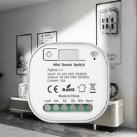 Module d'interrupteur intelligent WiFi mini 2 voies SLS pour Smart Life 16A, relais de tension maximale 240V, minuterie, automatisation sans fil Alexa Google Home