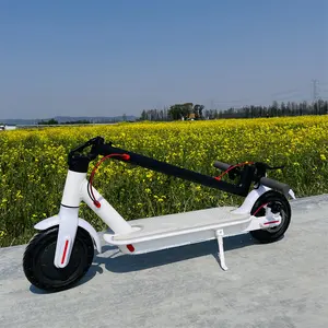 Wholesale 350W Motor 25KM Max Speed 15 Climbe Angel Lithium Battery Mobility Electric Scooter