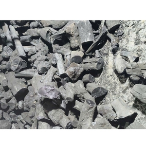 TPN High Calorific Value Long Burning Time OEM Available Vietnam Premium Coffee Charcoal Manufacturer Cheap Price - Product Image 1