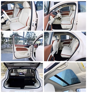 Auto Eléctrico Chino Mini Usado Ora Cat en Venta, 100% Eléctrico - Product Image 5