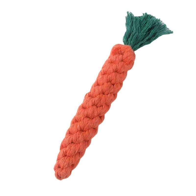 Zanahoria [22*3cm]