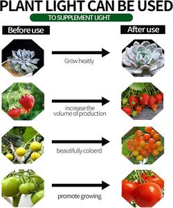 Lámpara LED para Invernadero Exterior, Impermeable y Transparente, para el Crecimiento de Plantas, con Luz Brillante y Efecto de Floración Fuera de Temporada, Tipo Dragon Fruit - Product Image 6