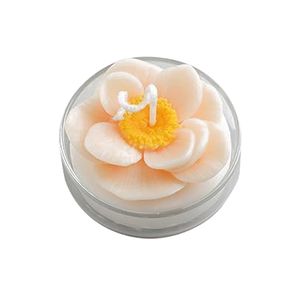 Bougie de cactus parfumée au désert amusante faite à la main avec cuillère plantes succulentes Art cire de soja pour la décoration de la maison pour le nouvel an - Product Image 1