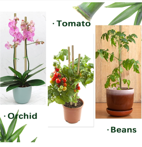 Paquete de 200 Varillas de Bambú de 50 cm (20 Pulgadas) para Jaulas de Pájaros, <span class=keywords><strong>Cercas</strong></span>, Flores y Plantas, Varillas de Bambú para Flores - Product Image 6