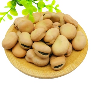 Aperitivos de granos anchos, gran calidad, venta en línea - Product Image 1