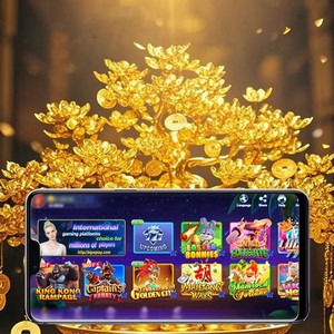 BIG WINNER/GOLDEN CITY Entretenimiento Interactivo – Juegos en Línea que Funcionan con Monedas con Más de 100 Títulos - Product Image 1