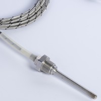 Sonde thermocouple de type N de précision, isolée minéralement, en acier inoxydable, étanche, à réponse rapide, avec câble de compensation d'extension