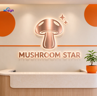 Enseigne LED rétroéclairée 3D personnalisée en acier inoxydable de qualité supérieure avec transformateur à télécommande pour la décoration murale commerciale des bâtiments/boutiques