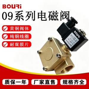 Vanne solénoïde Bouri série 0927 AC220V DC24V, corps en laiton, connexion filetée pour le contrôle des fluides industriels - Product Image 4