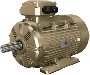 WE4 Motor assíncrono trifásico IE4 AC de alta eficiência (80 ~ 355mm 0,75 ~ 375kW) fabricado em WOLONG China