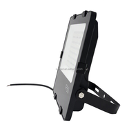 Projecteurs LED extérieurs 15000lm 100 Watts pour bâtiments et parkings