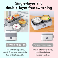 Boîte à lunch électrique anti-fuite, chauffe-aliments de grande capacité avec récipient en acier inoxydable de 2,4 L, chauffe-aliments portable