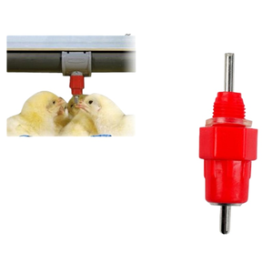 Bebedero automático <span class=keywords><strong>de</strong></span> pezón <span class=keywords><strong>de</strong></span> pollo <span class=keywords><strong>de</strong></span> alta calidad <span class=keywords><strong>de</strong></span> 360 grados, nuevo equipo avícola para una distribución <span class=keywords><strong>de</strong></span> agua confiable - Product Image 3