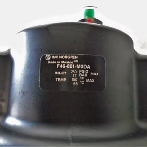 Filtro de Micro-aceite Original para Torre de Secado F46-801-A0DA, Filtro de Aire - Product Image 4