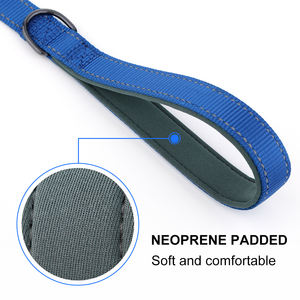 Toptan üretici ayarlanabilir naylon dayanıklı yumuşak yastıklı neopren yansıtıcı Pet köpek tasması ve tasma seti - Product Image 5