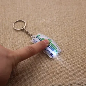 LED Keychain Custom Shaped Plastic Pvc Keyring Keyholder For Gifts