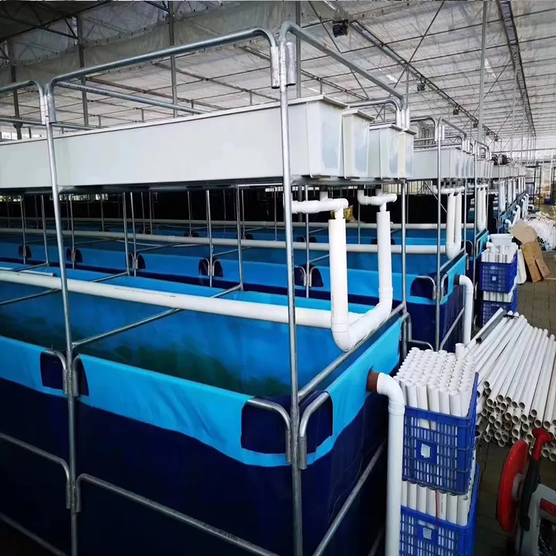 Penjualan laris murah 5000l Pvc Tilapia groupper akuarium ikan sistem plastik tangki pertanian ikan