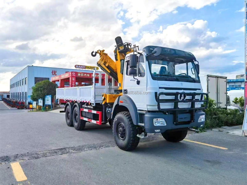 1SUZU 4X2 21M Telescopic Hydraulic Arm