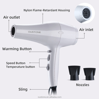 Sèche-cheveux professionnel à ions négatifs personnalisé de haute qualité, marque privée, moteur AC, salon, commercial, classique, 2200-2400W