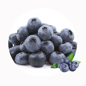 <span class=keywords><strong>Myrtilles</strong></span> <span class=keywords><strong>surgelées</strong></span> de qualité supérieure, directement de l'usine |   IQF Propre et Sûr |   Fournisseur certifié HACCP, ISO pour l'exportation - Product Image 2