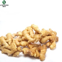 Nouvel ail frais de Chine de Shandong gingembre en gros graines de Chine pour la plantation d'ail frais