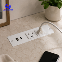 Gizli Gömme Masa Prizi Güç Şeridi Uzatma Kablosu 2 AC Priz 1 USB-A 1 USB-C Port 1.5m Kablo 12A/15A Ev Mobilyaları