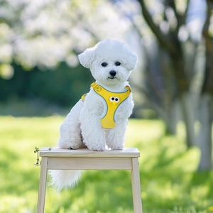 Satu Set tali dan kekang anjing gaya mata besar kartun imut modis baju anjing Teddy Bichon rompi anjing kecil <span class=keywords><strong>Harness</strong></span> grosir - Product Image 3