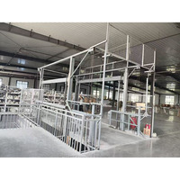 Plateforme élévatrice hydraulique verticale industrielle murale de 1 tonne à prix avantageux pour entrepôt