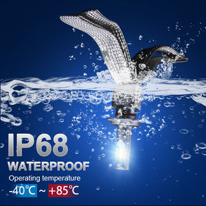 <span class=keywords><strong>Cinta</strong></span> de cobre de alta potencia, faro <span class=keywords><strong>led</strong></span> H7 H11 Super brillante H4, 60W, sin ventilador, Csp, Eutectic - Product Image 5
